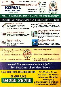 termite control services