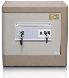 Home Safes