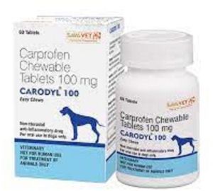 Tablet Carodyl 100 Tablets, For Animal Treatment