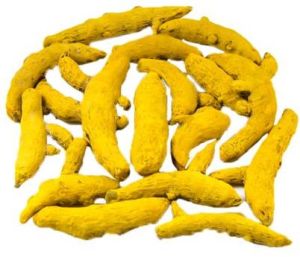 Nizamabad Turmeric