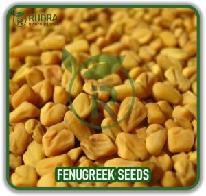 Fenugreek Seed