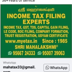 INCOME TAX FILING EXPERTS