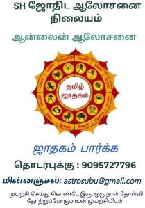 Numerology Consultancy