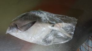 Pomfret Fish