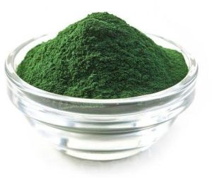 dry spirulina powder