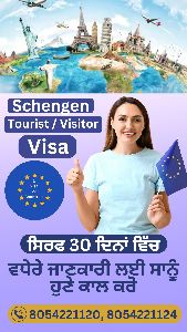 visa processing services