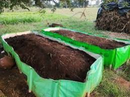 vermicompost