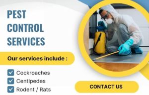 Pest Control Services