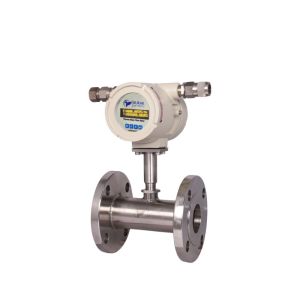 Thermal Dispersion Flow Meter