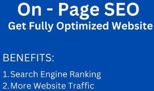 Search Engine Optimization Services