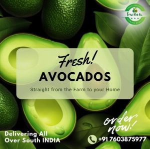 Fresh Avocados