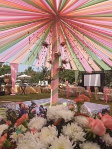 Wedding Organizer