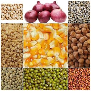 Pulses and grains