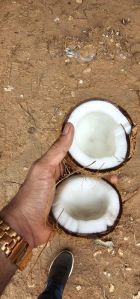 Fresh Coconut