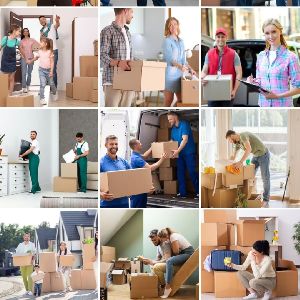 Packers and Movers