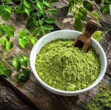 Moringa Oleifera Powder