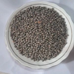 Black Masoor Dal