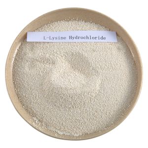 L Lysine HCL Poultry Feed Supplements