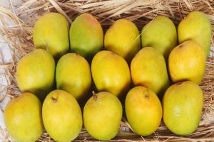 A Grade Alphonso Mango