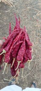 Dried Red Chili