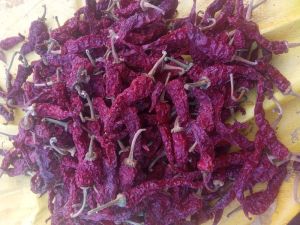 kashmir red chilli