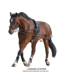 lunging training set