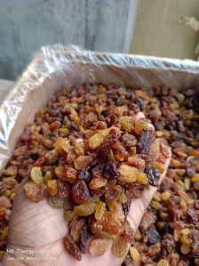 Malayar Raisins