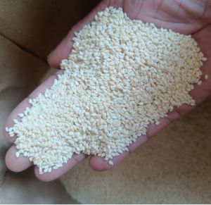 White Sesame Seeds