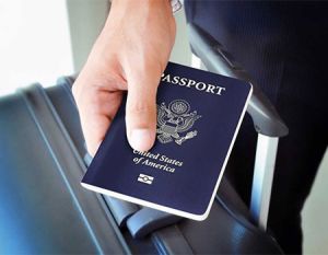 Visa/ Passport Consultant