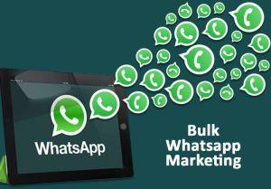 whatsapp marketing