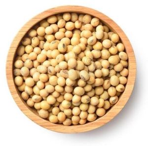 Soya Bean