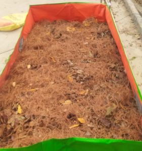 Organic Mulch