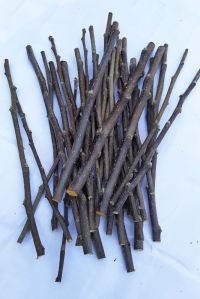 wooden sticks