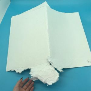 SOFT WOOD PULP