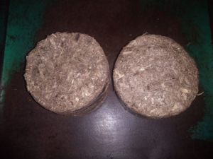 Biomass Briquettes