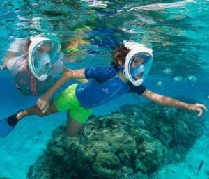 Snorkelling