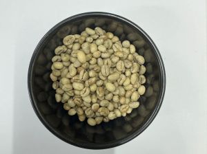C Grade Robusta Parchment Coffee Beans