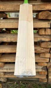 English Willow cricket bat (Player Edition)