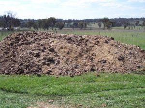 Chicken Manure