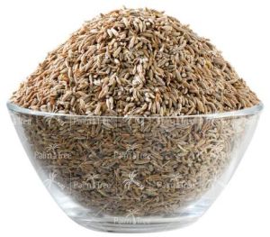 brown cumin seed