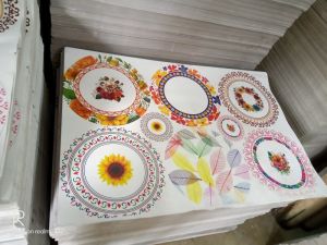 Paper plates Raw material 280gsm