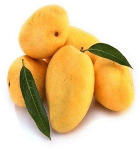 Mangoes