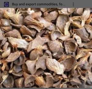 Palm Kernel Shell