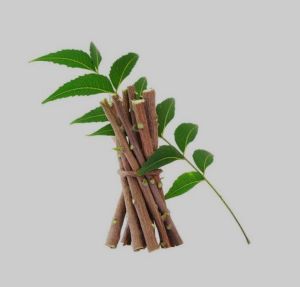 Organic Neem Stick