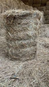 Paddy Straw Bales