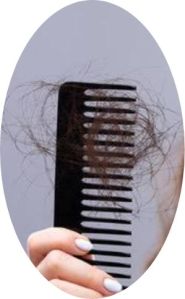 Human Hair