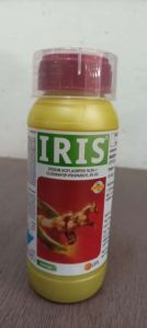 iris