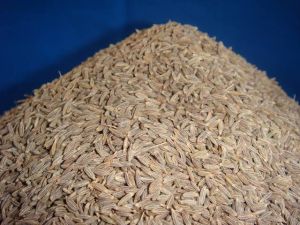 Organic Cumin Jeera