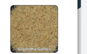 1121 Golden Sella Rice