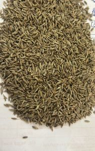 Cumin Seeds